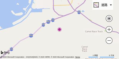 阿布扎比空运基地机场