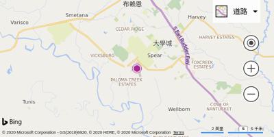 克利奇站机场