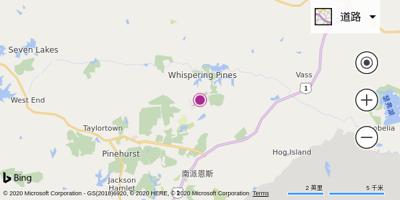 南皮恩斯-派恩赫斯特机场