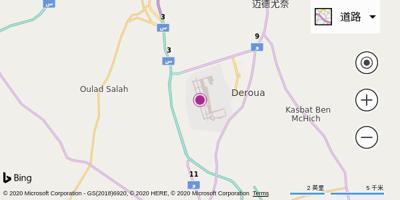 穆罕默德五世国际机场